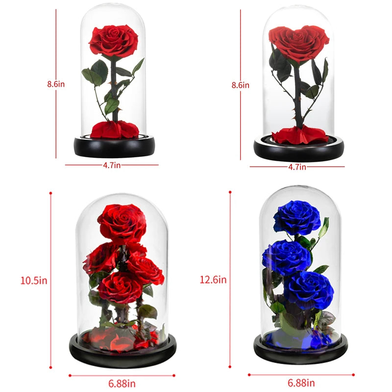 "Blossoms that Last: Unveiling Eternal Elegance with Our Preserved Roses!" Perfect gift for anniversary, women’s day, mothers day, 14th of february!